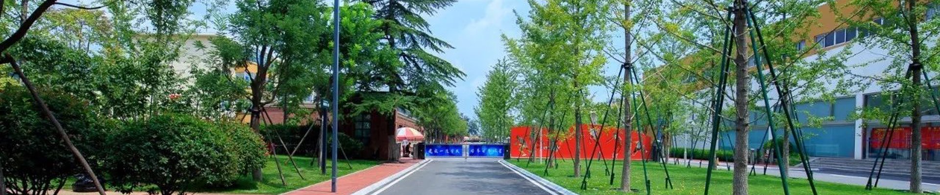作品展示